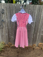 Dutch Costume Dress