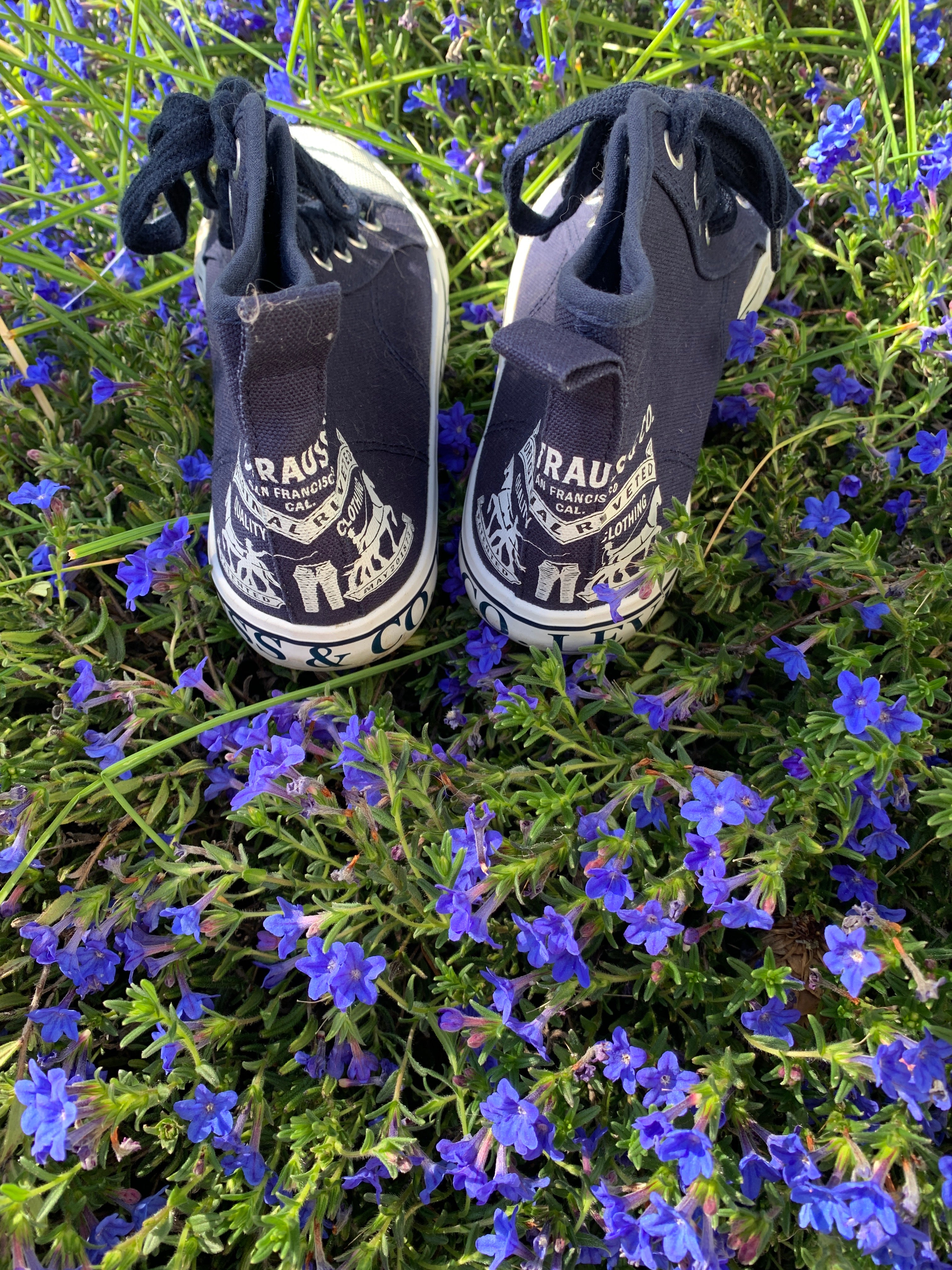 Levi’s Hightop sneakers
