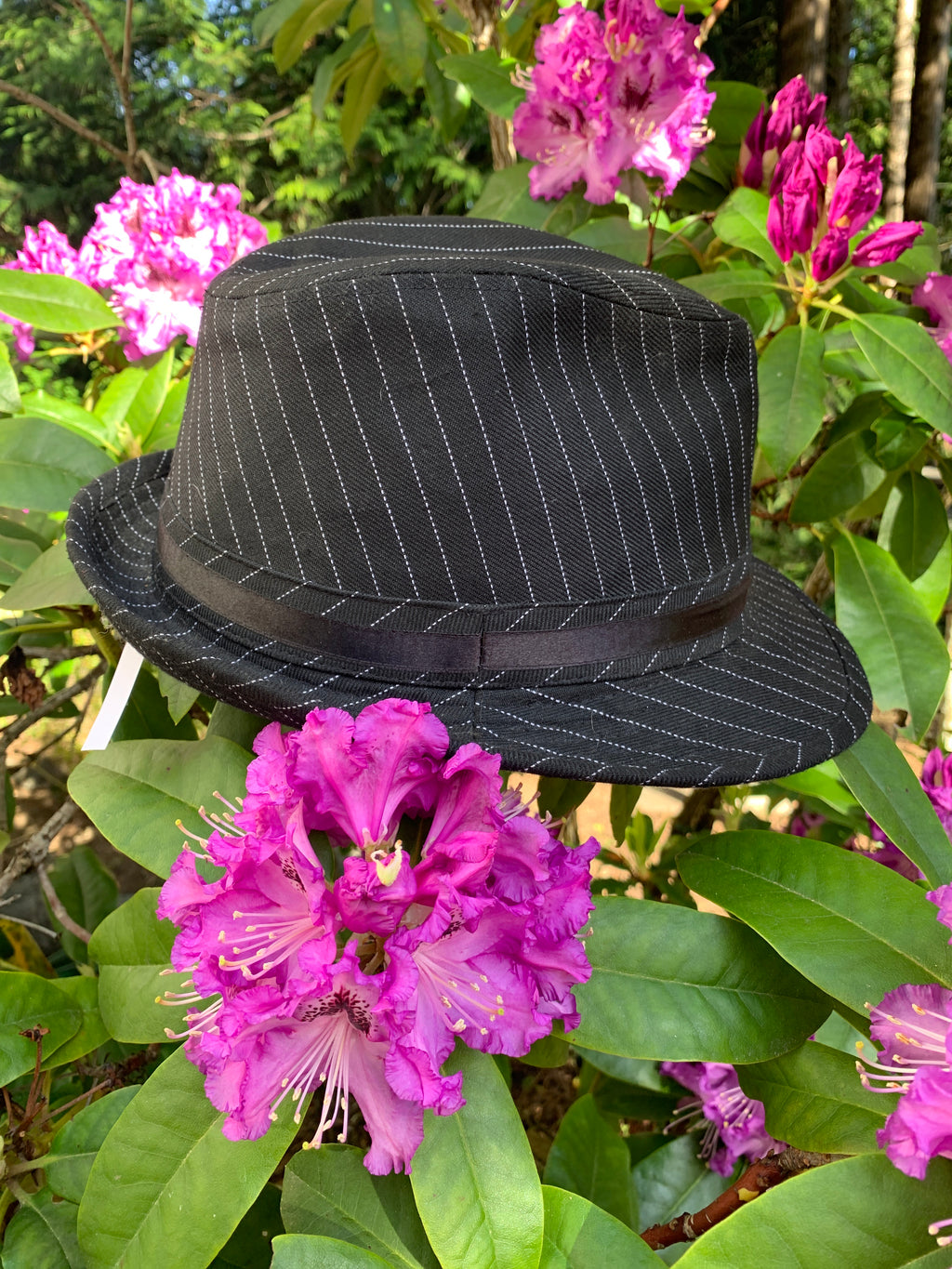 Vintage Y2K Mudd pinstriped fedora