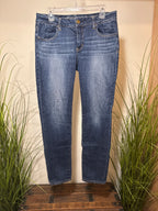 American Eagle Outfitters Jegging Super Stretch- 12