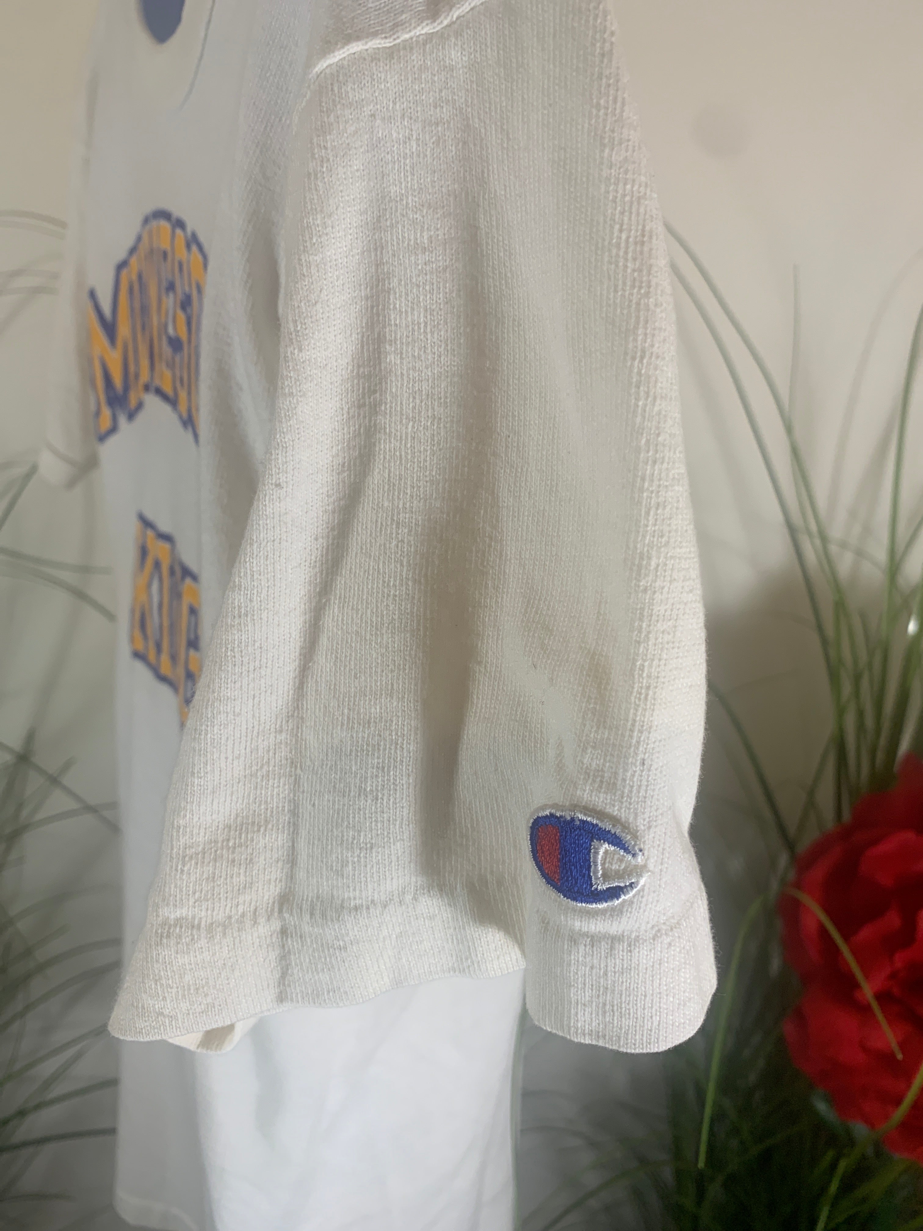 Size M Men's 80's/90's Champion Single Stitch Vintage Minnesota Vikings Tshirt