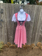 Dutch Costume Dress
