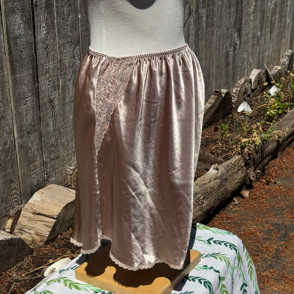 Size L Crinolines and Lace Slip