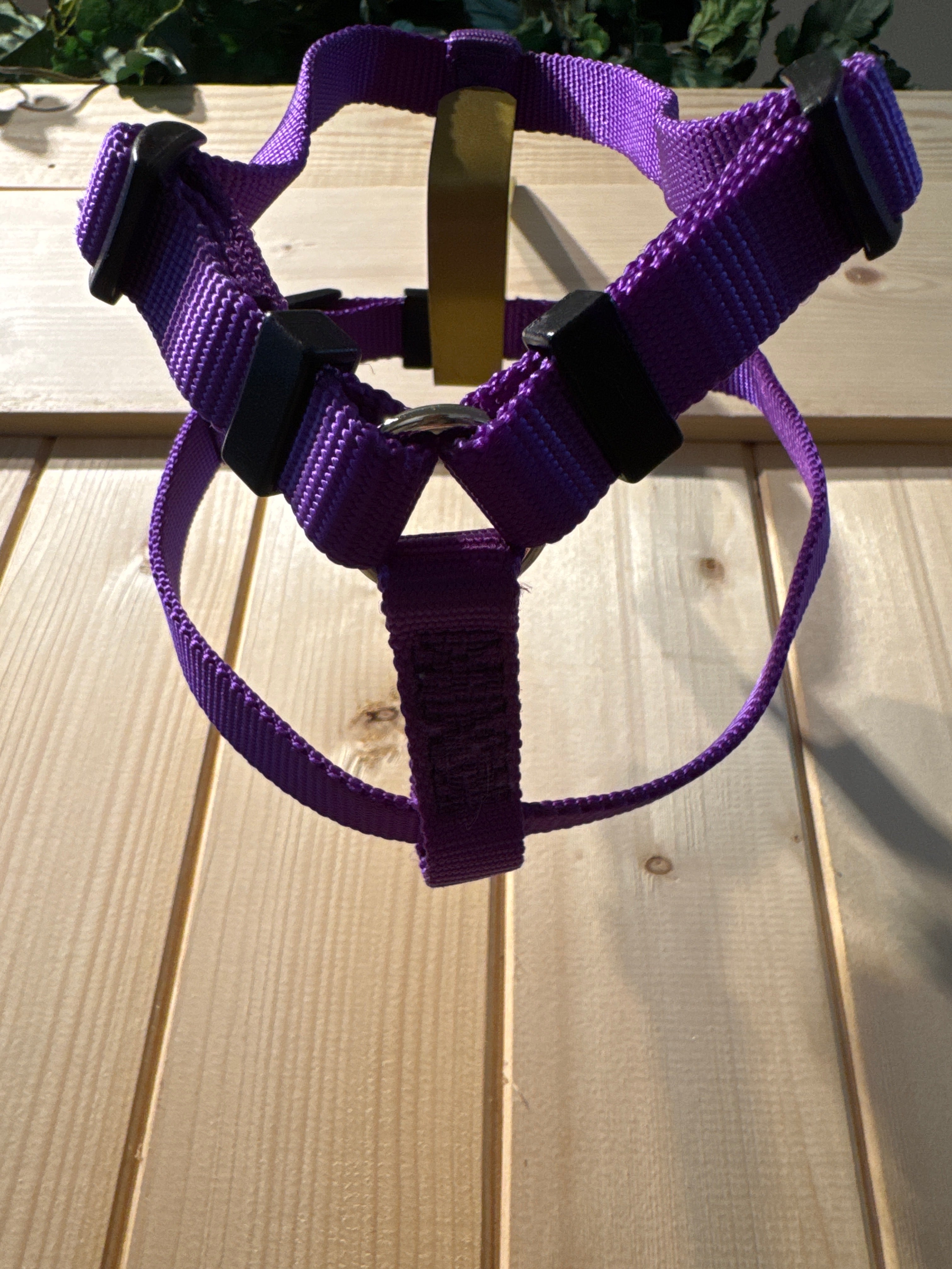 Top Paw Purple Harnes