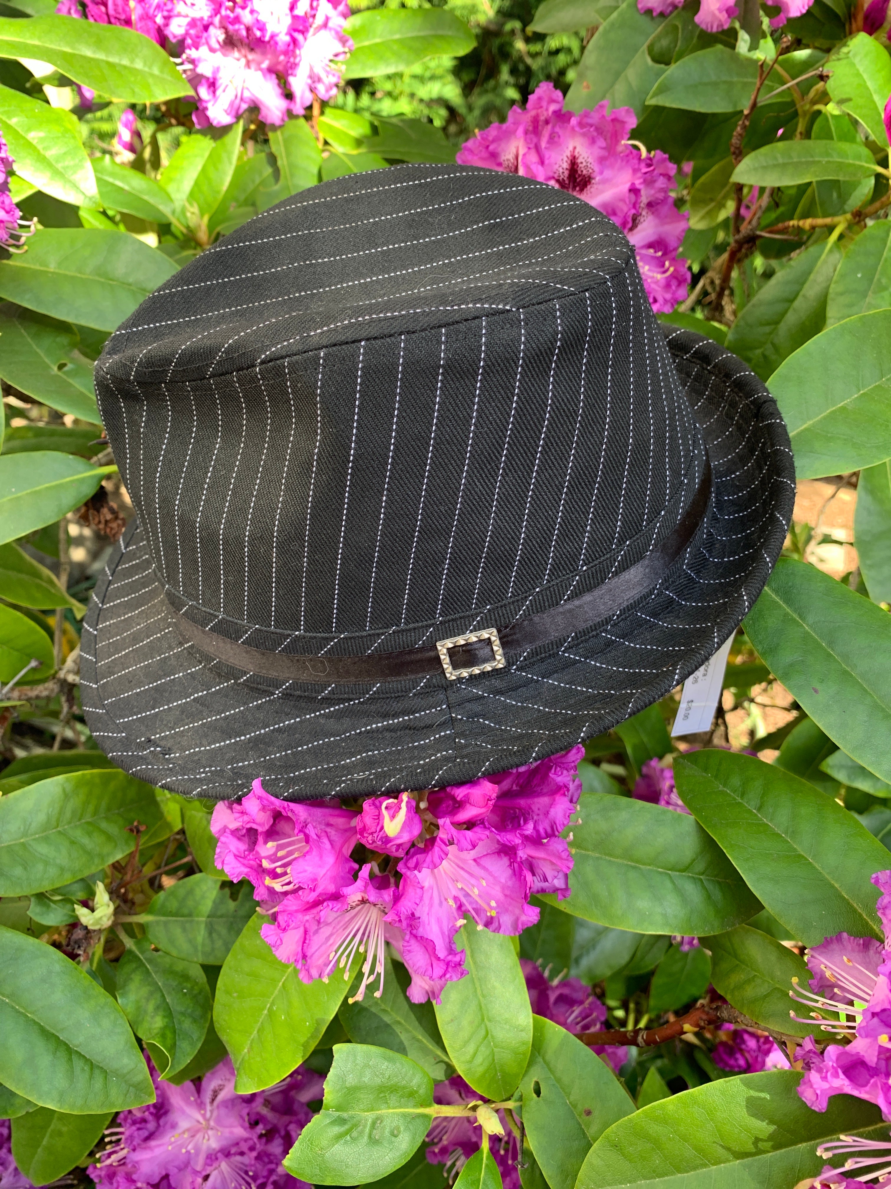 Vintage Y2K Mudd pinstriped fedora