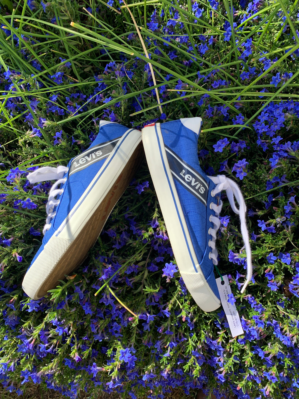 Levi's sneakers- blue