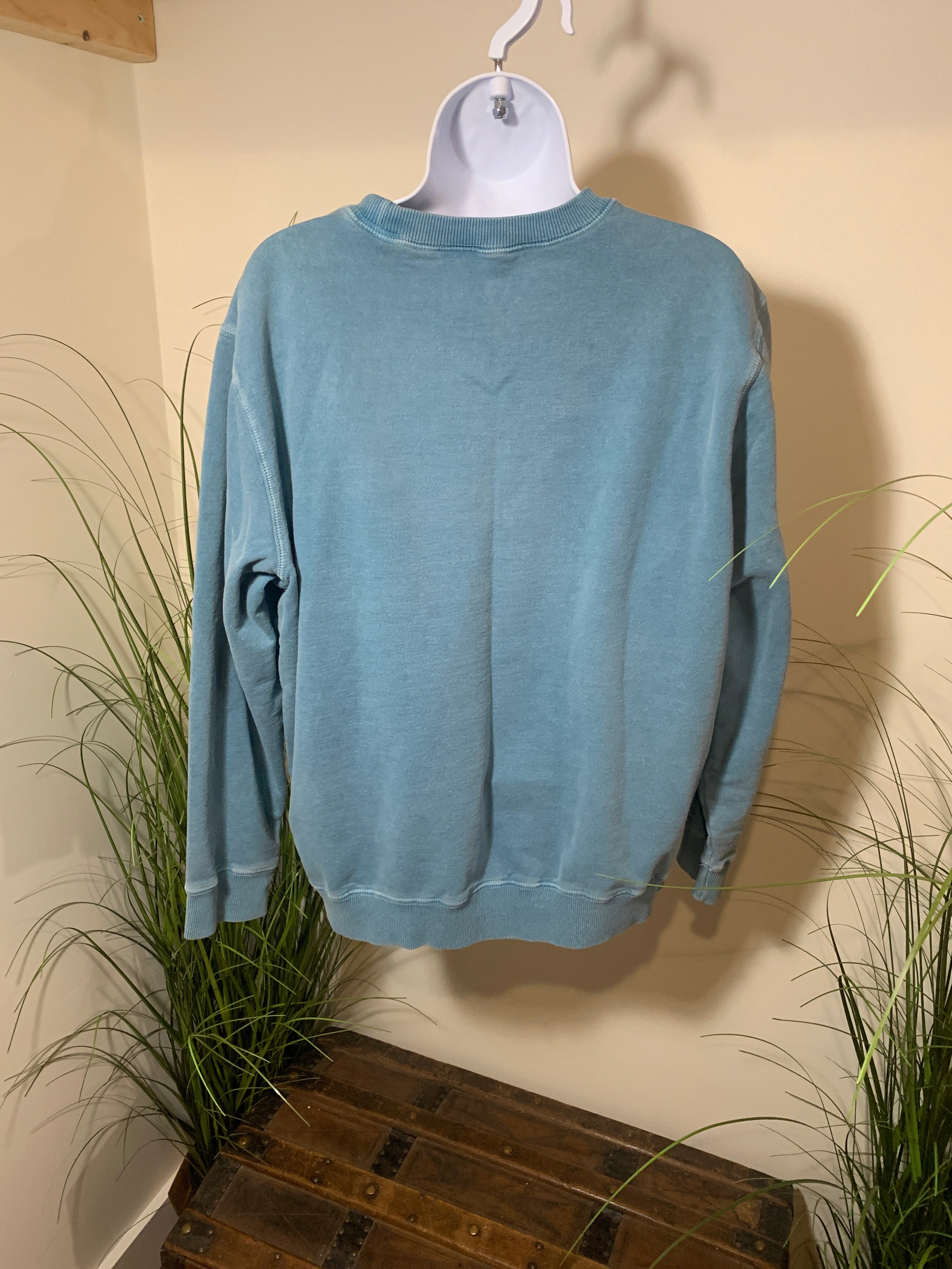 Size L Petite Vintage Northern Reflections Sweatshirt
