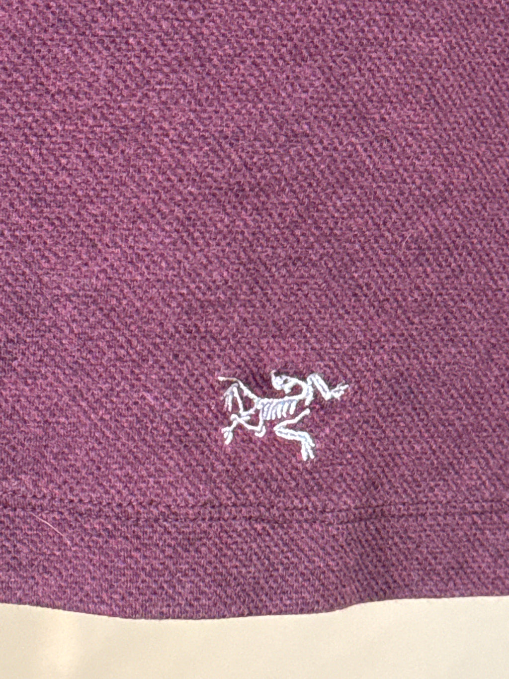 Arcteryx Sirrus Long Sleeve Top- Purple