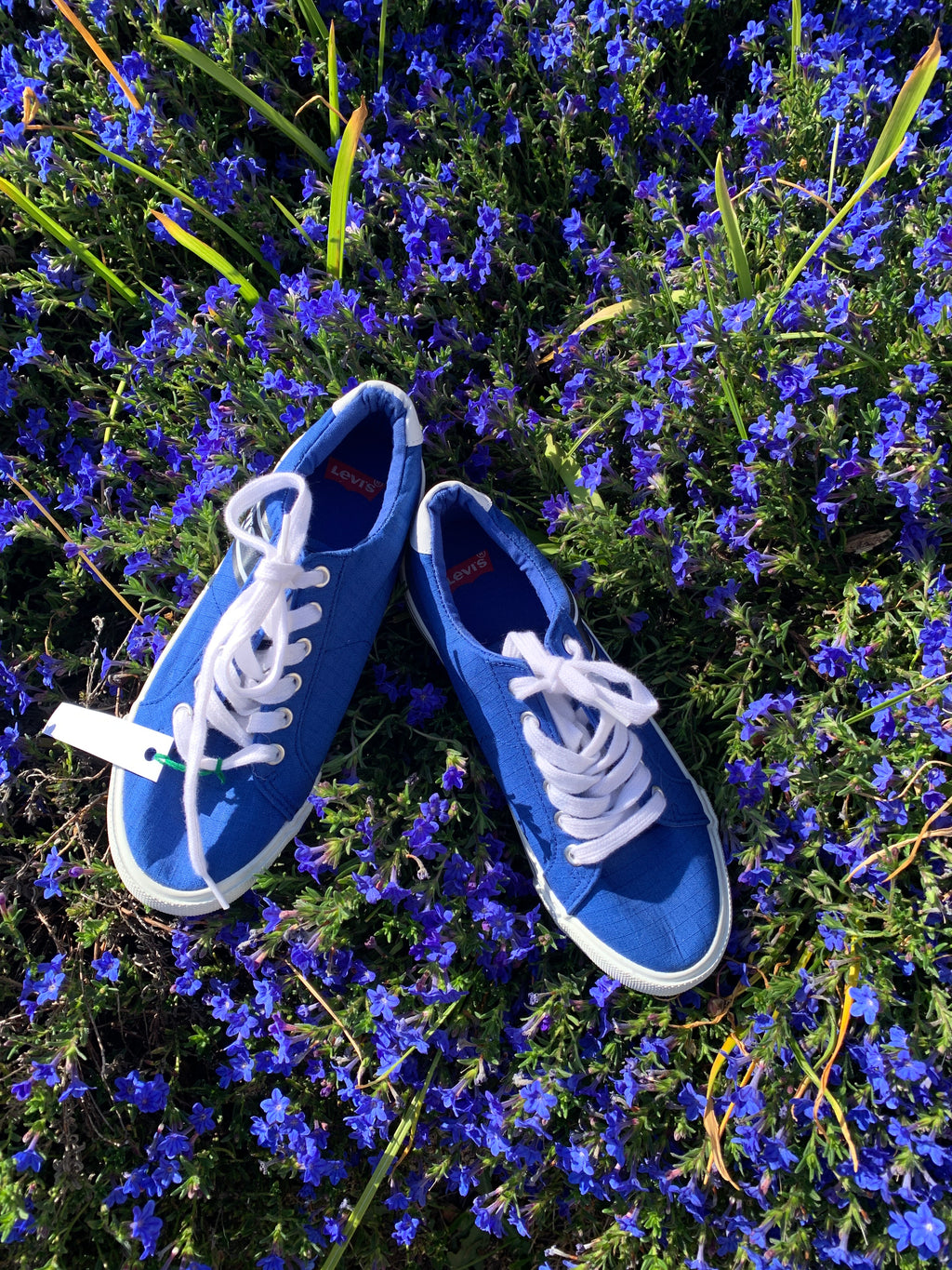 Levi's sneakers- blue