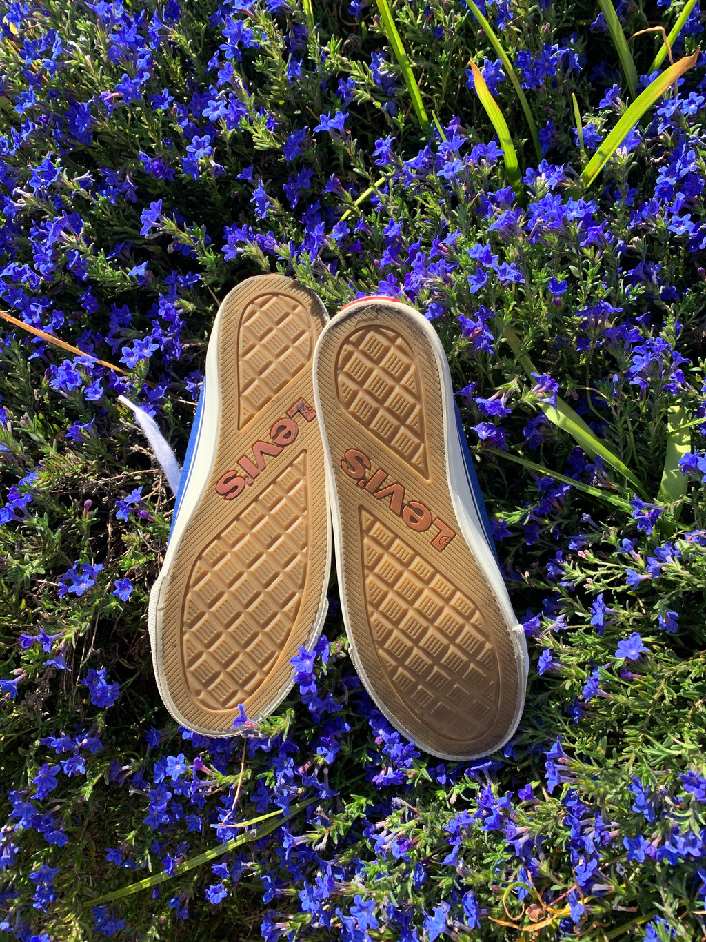 Levi's sneakers- blue