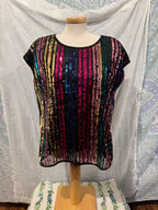 Size L Cleo Petite Rainbow Sequin Blouse