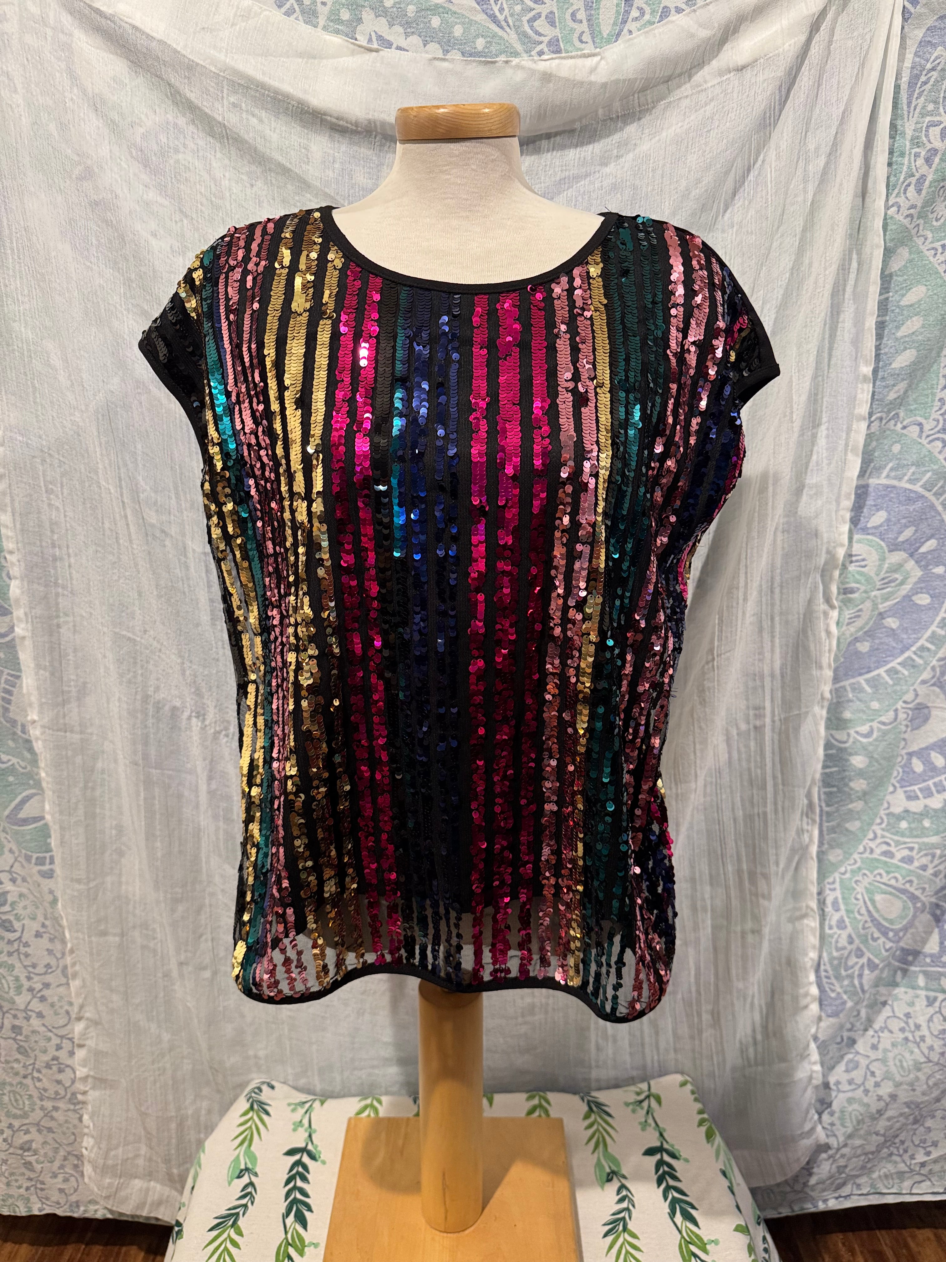 Size L Cleo Petite Rainbow Sequin Blouse