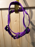 Top Paw Purple Harnes