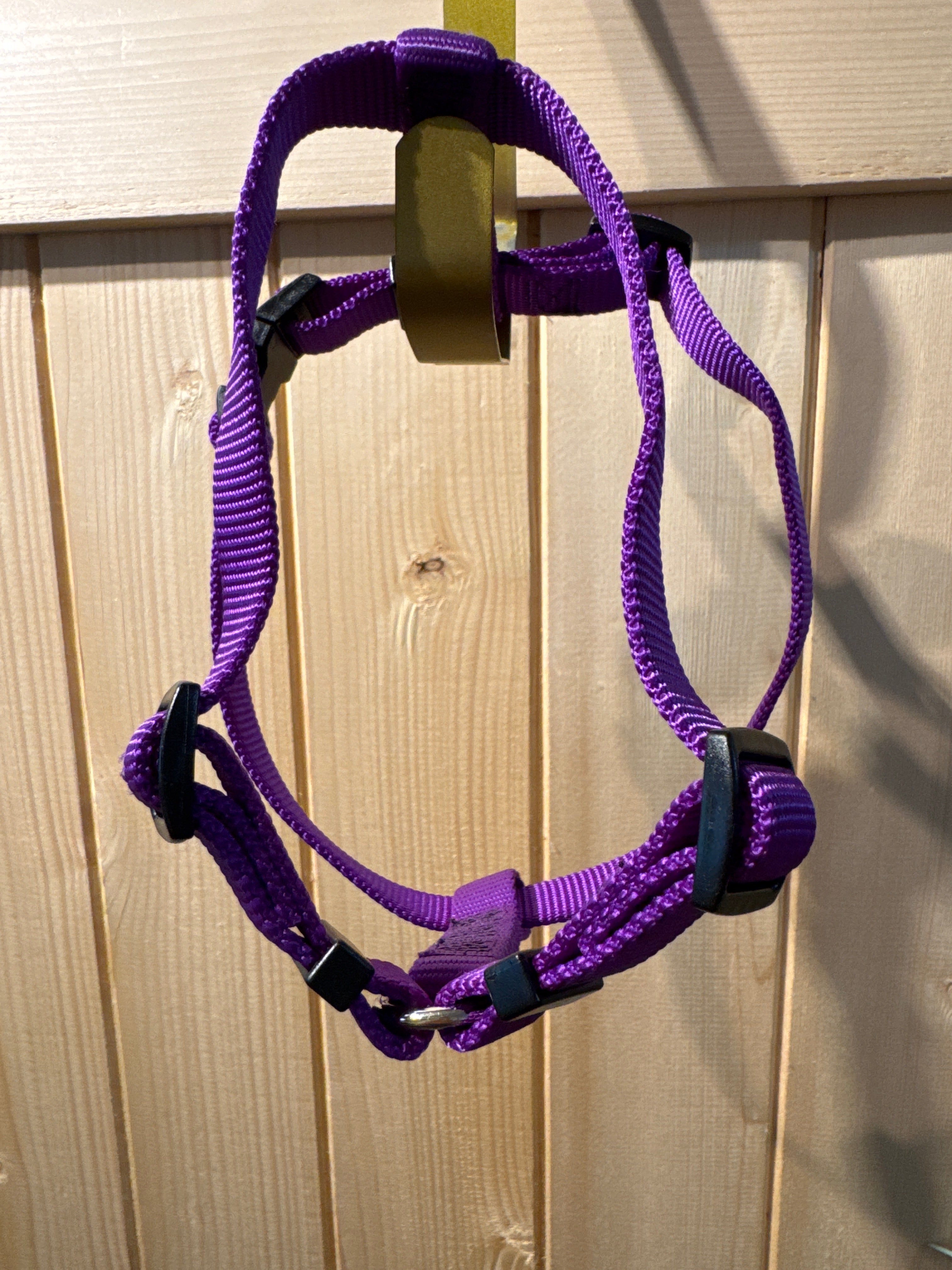 Top Paw Purple Harnes