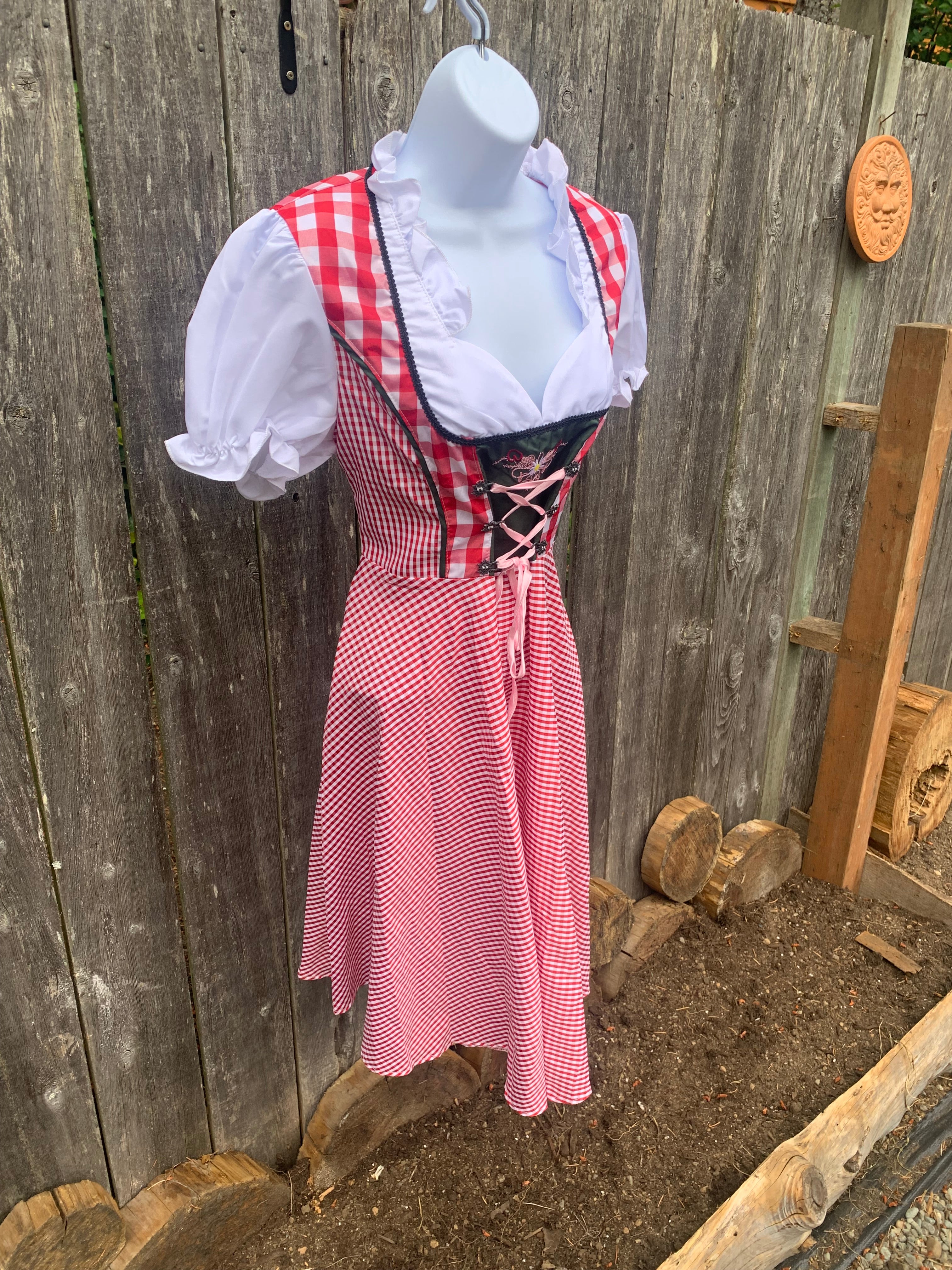 Dutch Costume Dress