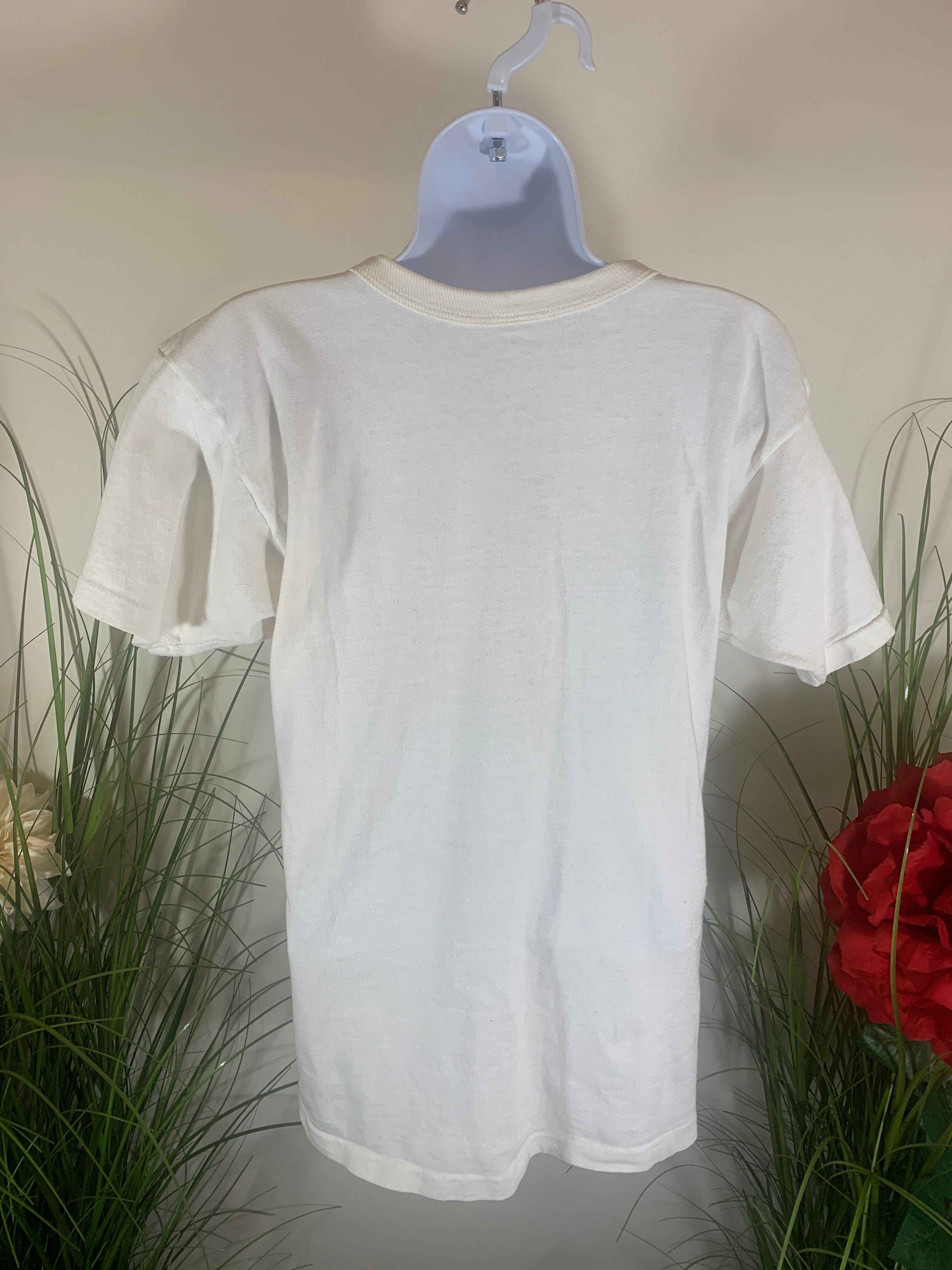 Size M Men's 80's/90's Champion Single Stitch Vintage Minnesota Vikings Tshirt