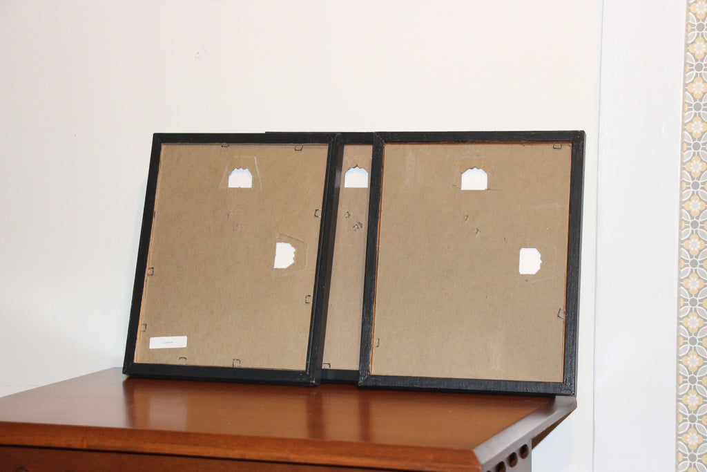 3 Will Rafuse prints in black wood frames