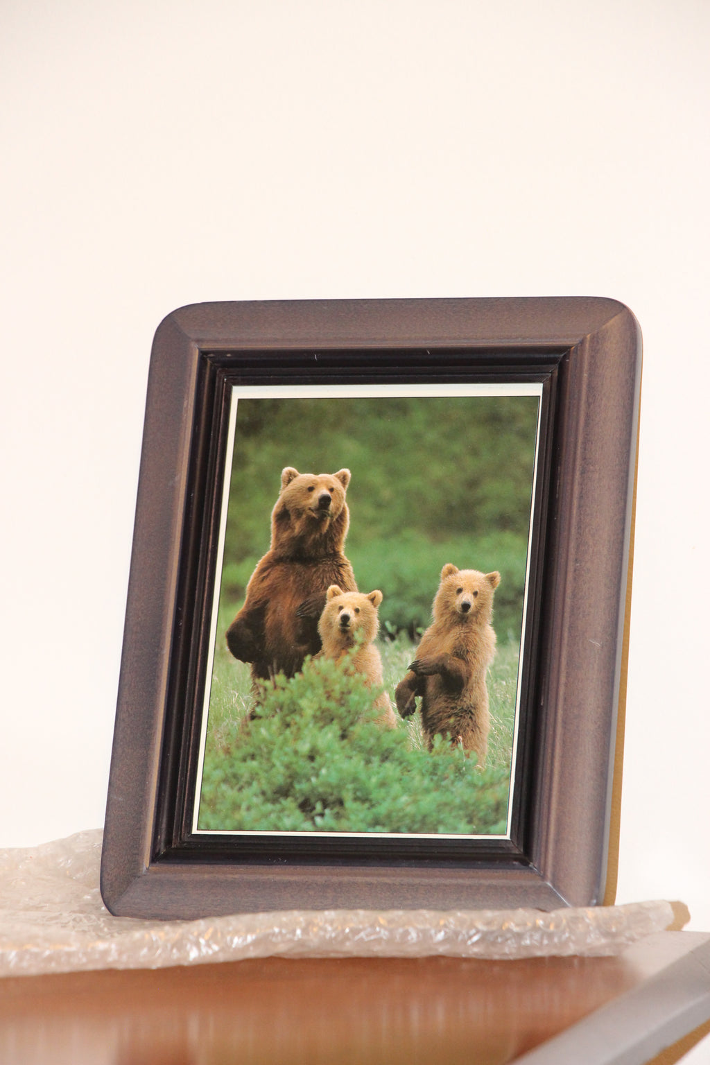 3 bears framed print