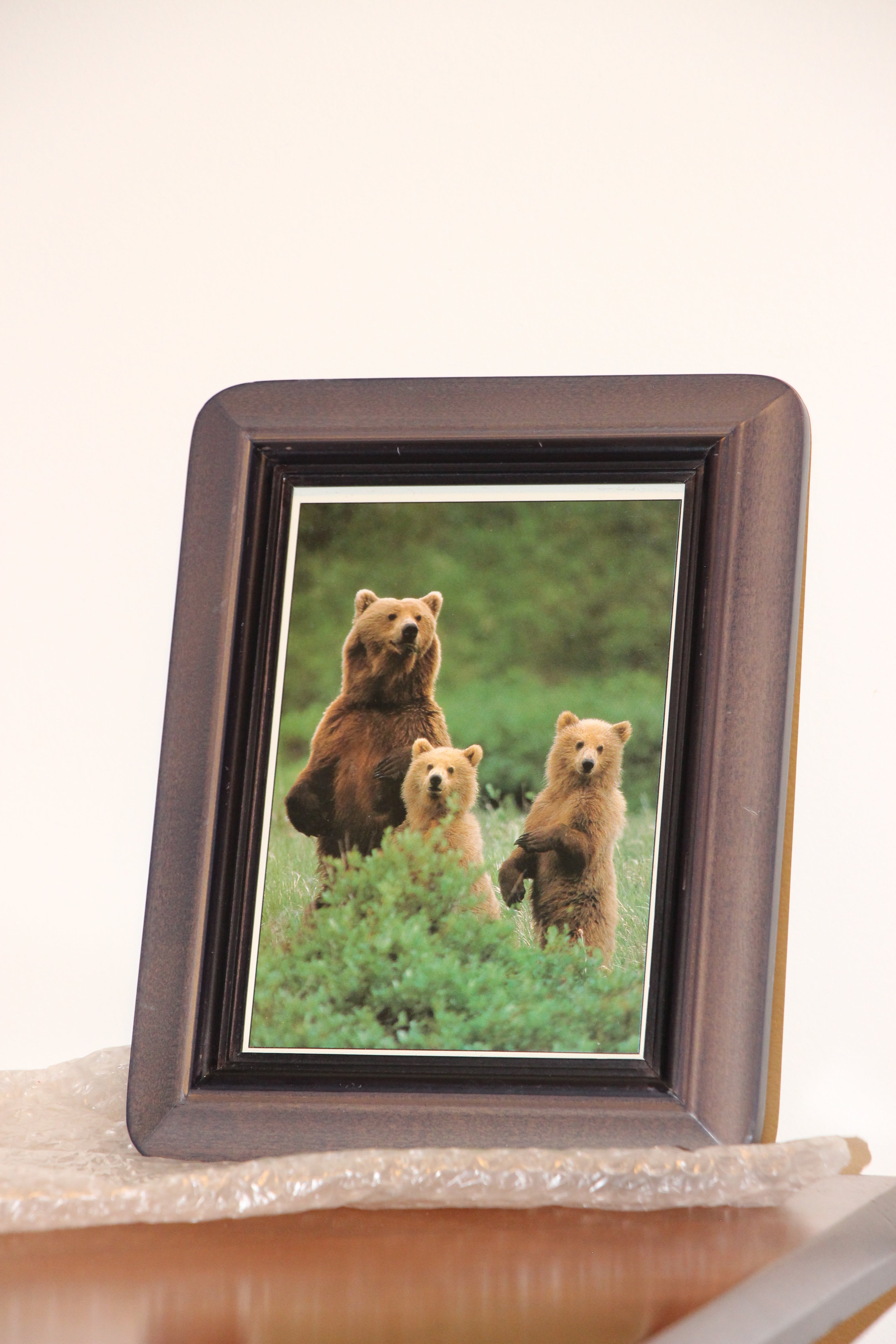 3 bears framed print