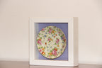 China dish in shadow box frame