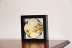 China dish in shadow box frame