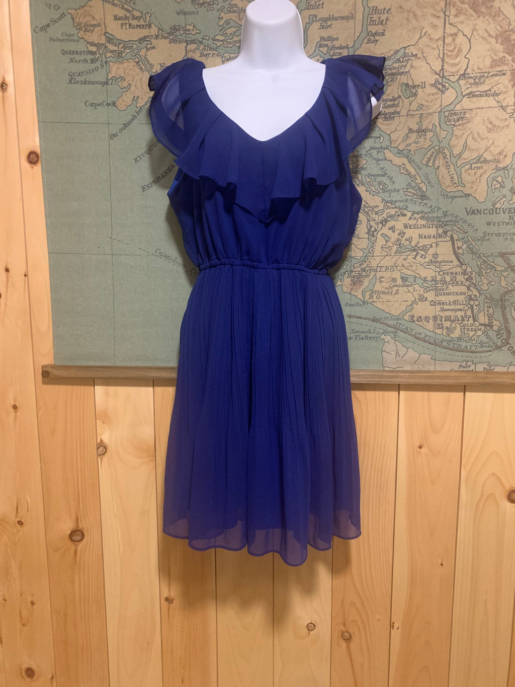 Blue sleeveless Frilled V-neckline PLEATED DRESS- elasticized waist