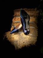 Navy Blue Patent Peter Kaiser heels - consigned with VARDO Vintage & Valuables vvvardo.ca