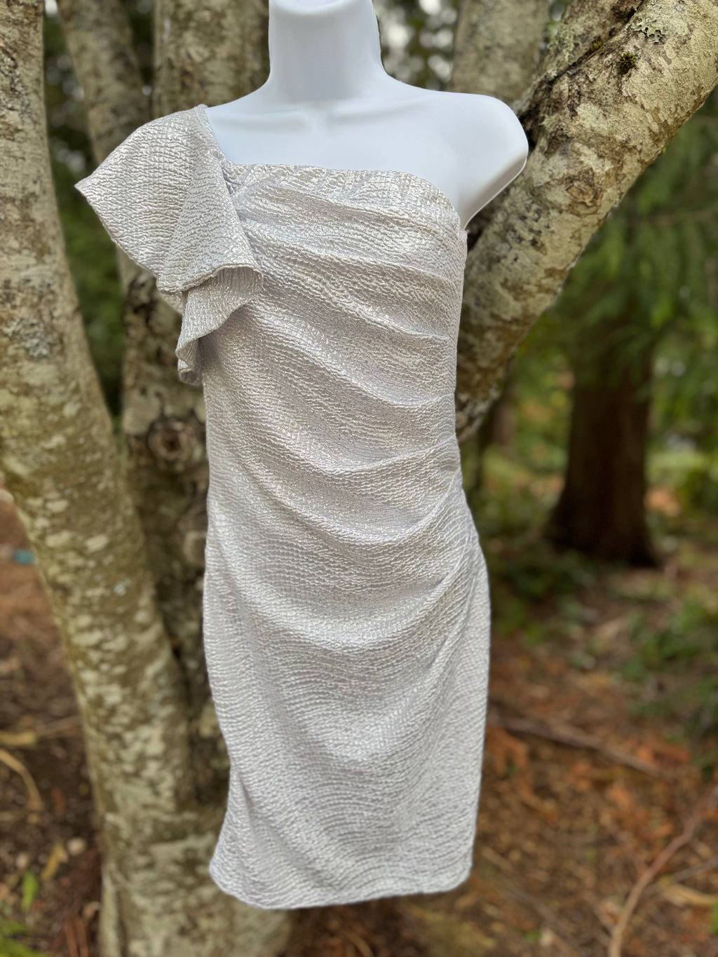 J IS FOR JUSTIFY silver dress- Consigned with VARDO Vintage & Valuables vvvardo.ca