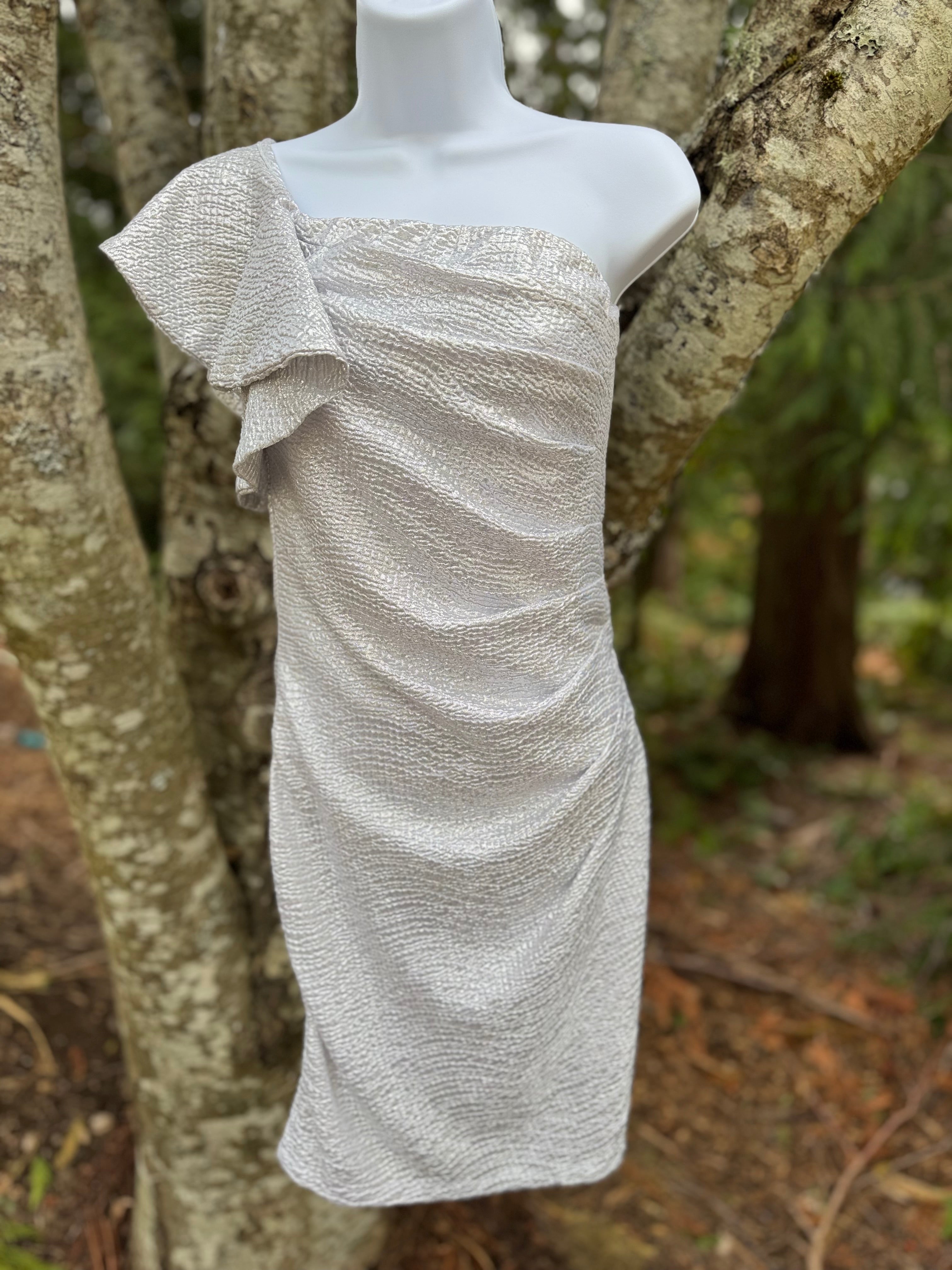 J IS FOR JUSTIFY silver dress- Consigned with VARDO Vintage & Valuables vvvardo.ca