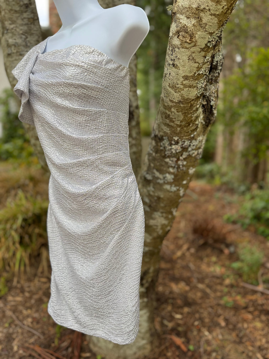 J IS FOR JUSTIFY silver dress- Consigned with VARDO Vintage & Valuables vvvardo.ca