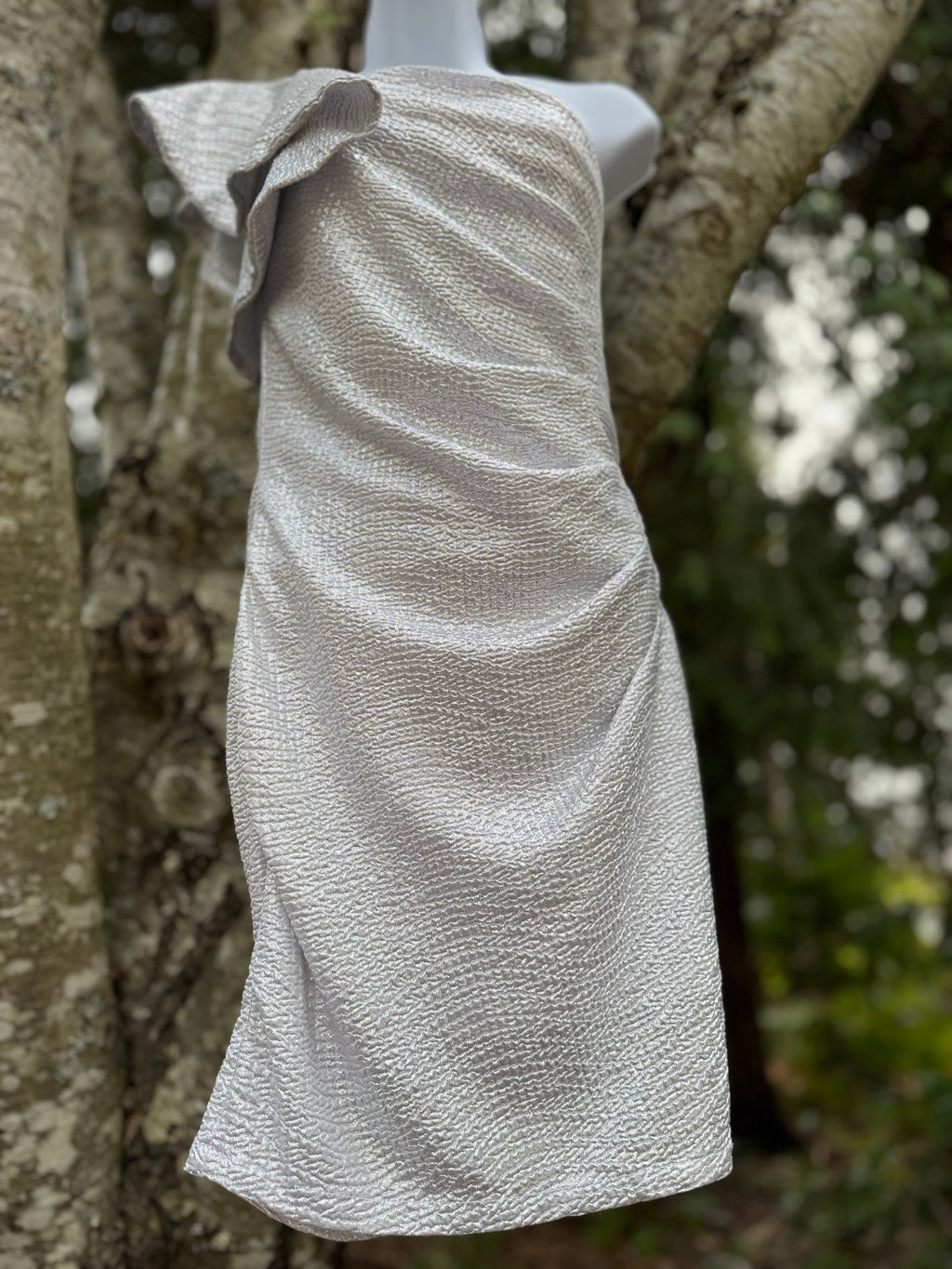 J IS FOR JUSTIFY silver dress- Consigned with VARDO Vintage & Valuables vvvardo.ca