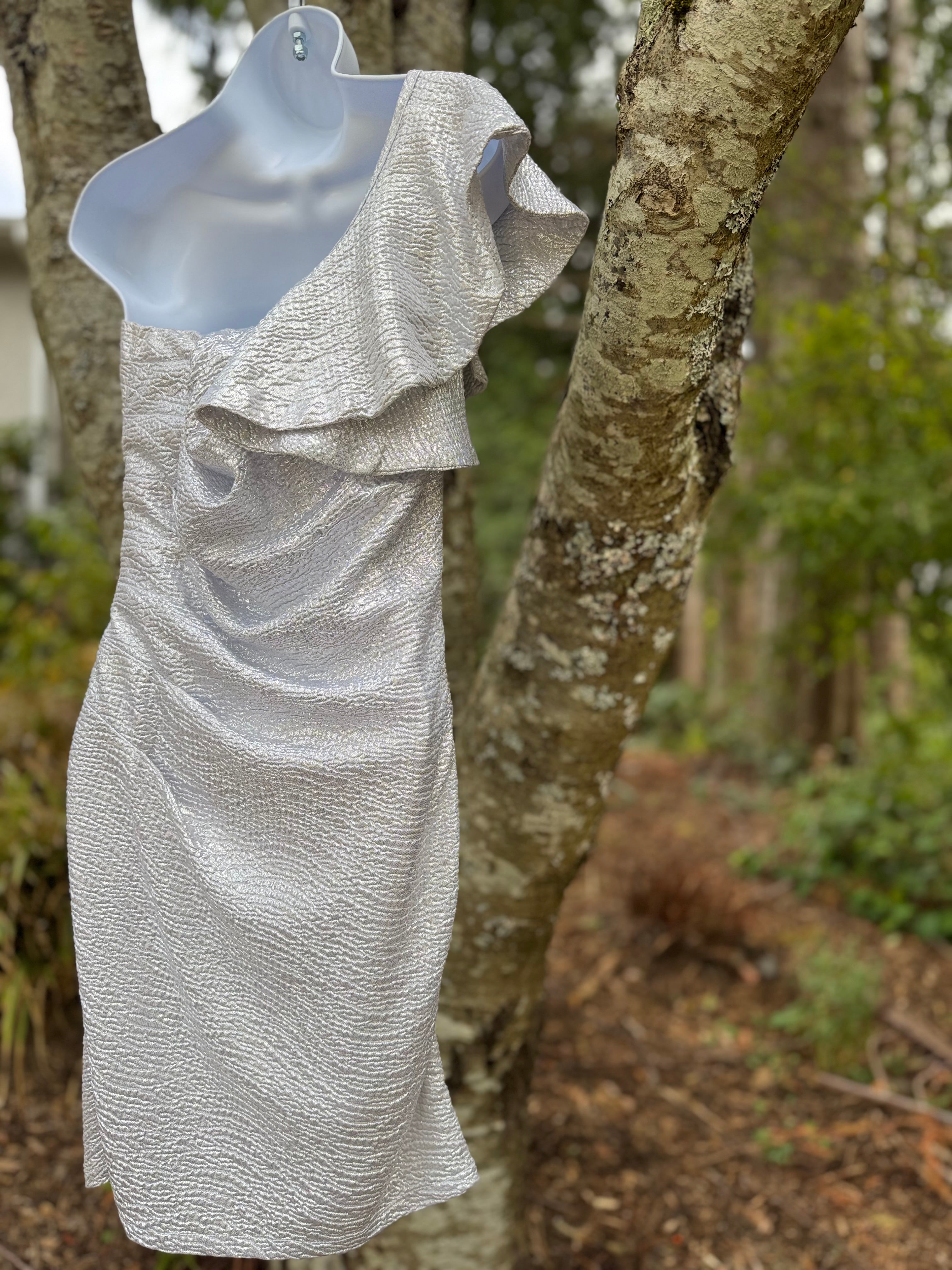 J IS FOR JUSTIFY silver dress- Consigned with VARDO Vintage & Valuables vvvardo.ca