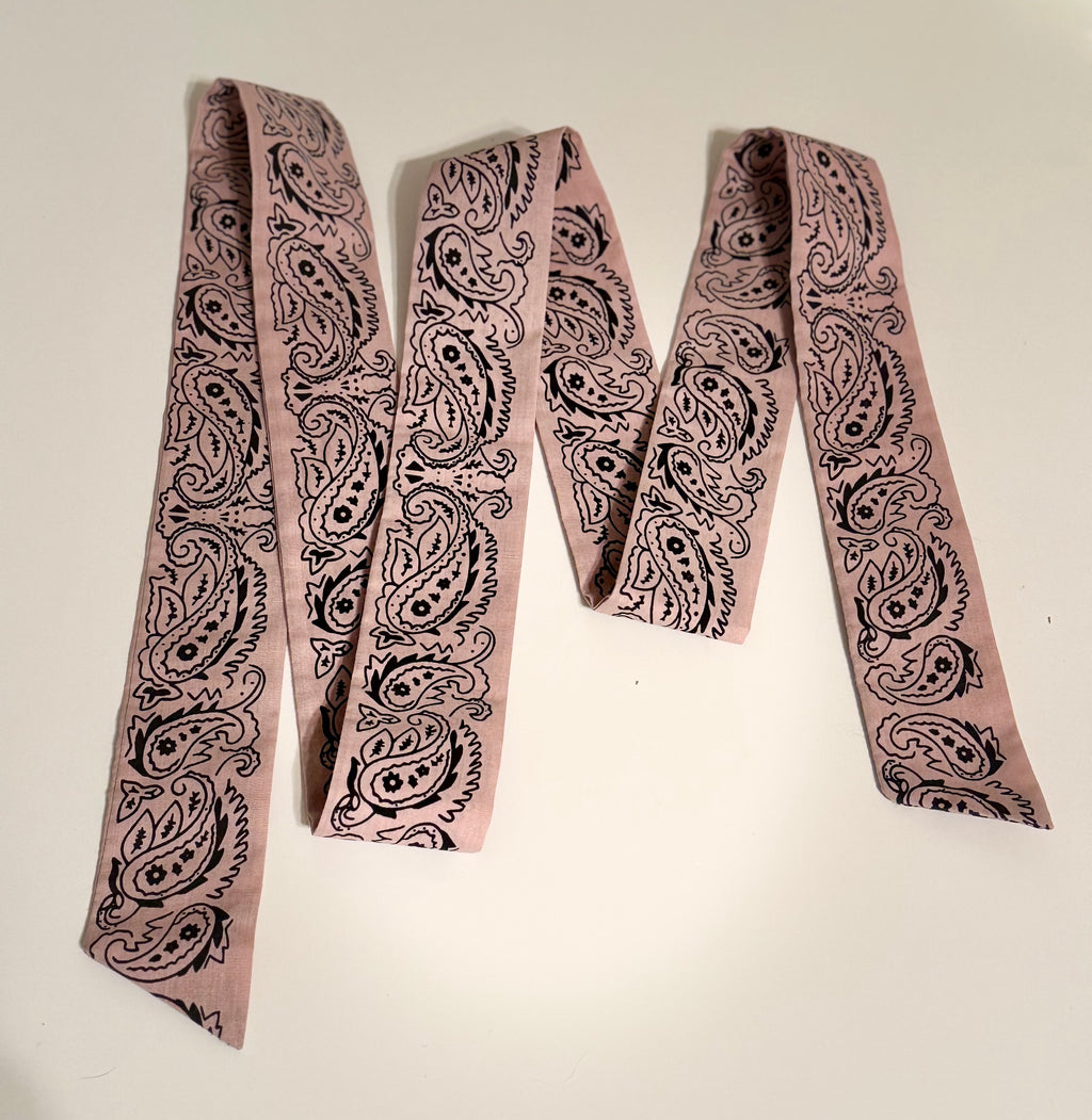 PAISLEY PRINT ribbon/scarf/belt - Consigned with VARDO Vintage & Valuables vvvardo.ca