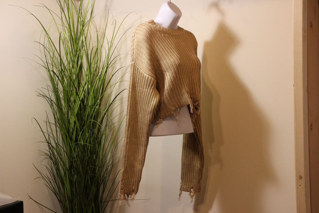 Zara Ribbed Tattered Crop Top